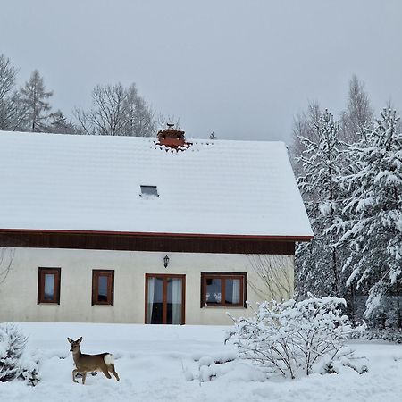 Вилла Dom Na Pstraznicy Кудова-Здруй Экстерьер фото