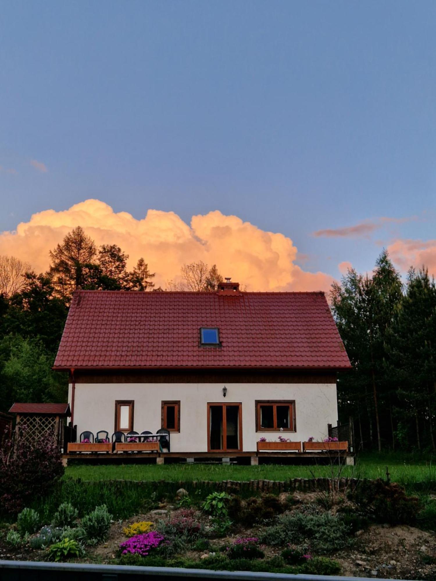 Вилла Dom Na Pstraznicy Кудова-Здруй Экстерьер фото