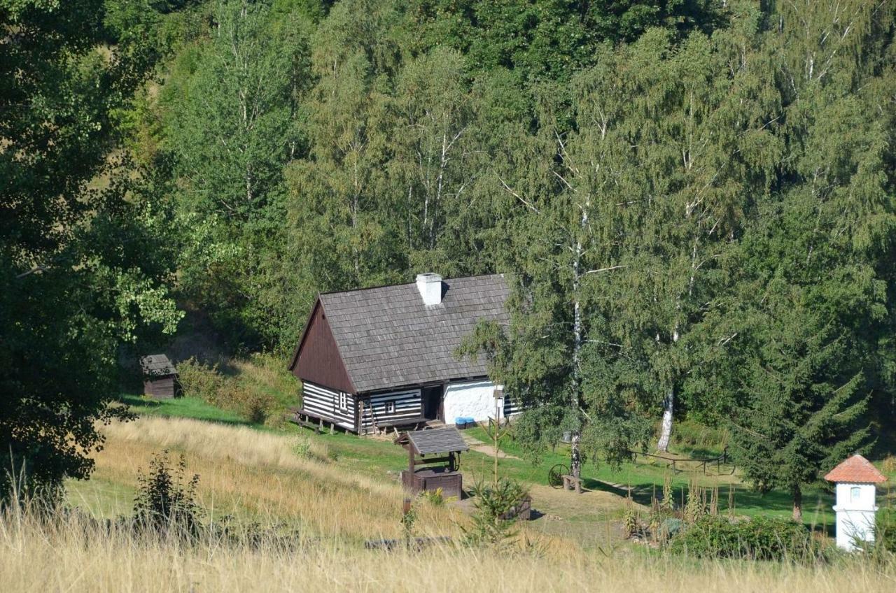 Вилла Dom Na Pstraznicy Кудова-Здруй Экстерьер фото