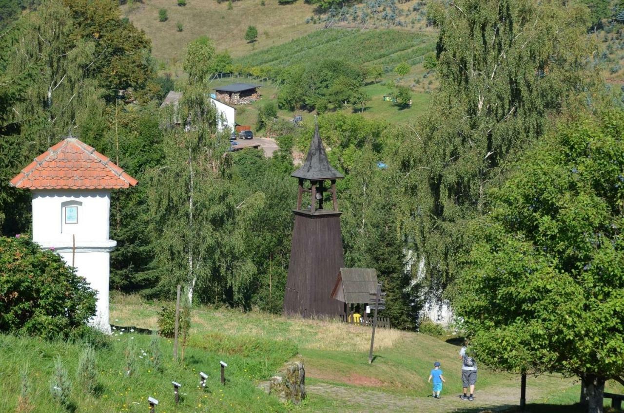 Вилла Dom Na Pstraznicy Кудова-Здруй Экстерьер фото